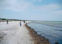Juli 2001. Mecklenburg-Vorpommern. Fischland / Darß. Ostseeküste. Strand bei Prerow
